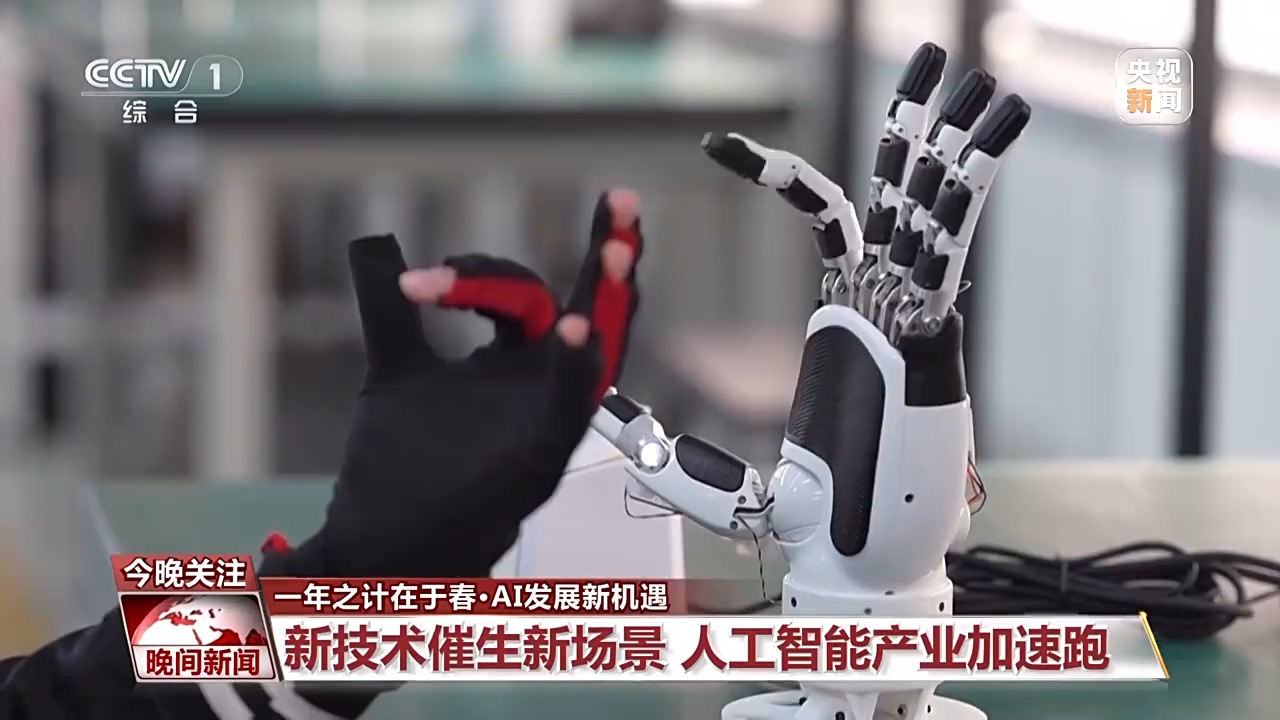 赛的主要因