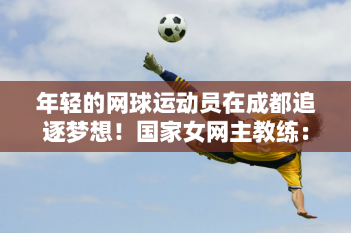 战术安排成